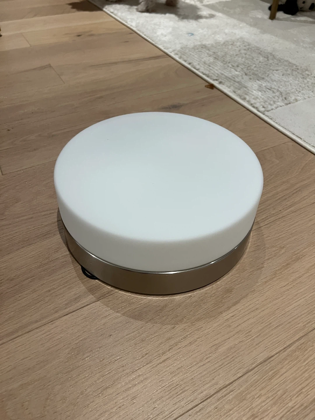 Flush Mount Ceiling Light Fixture