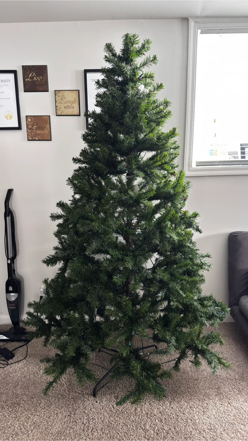 Christmas Tree - photo 2