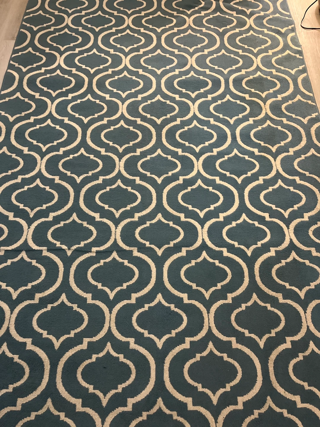 Nourison Jubilant Collection Area Rug - Blue/White 5'3" x 7'4"