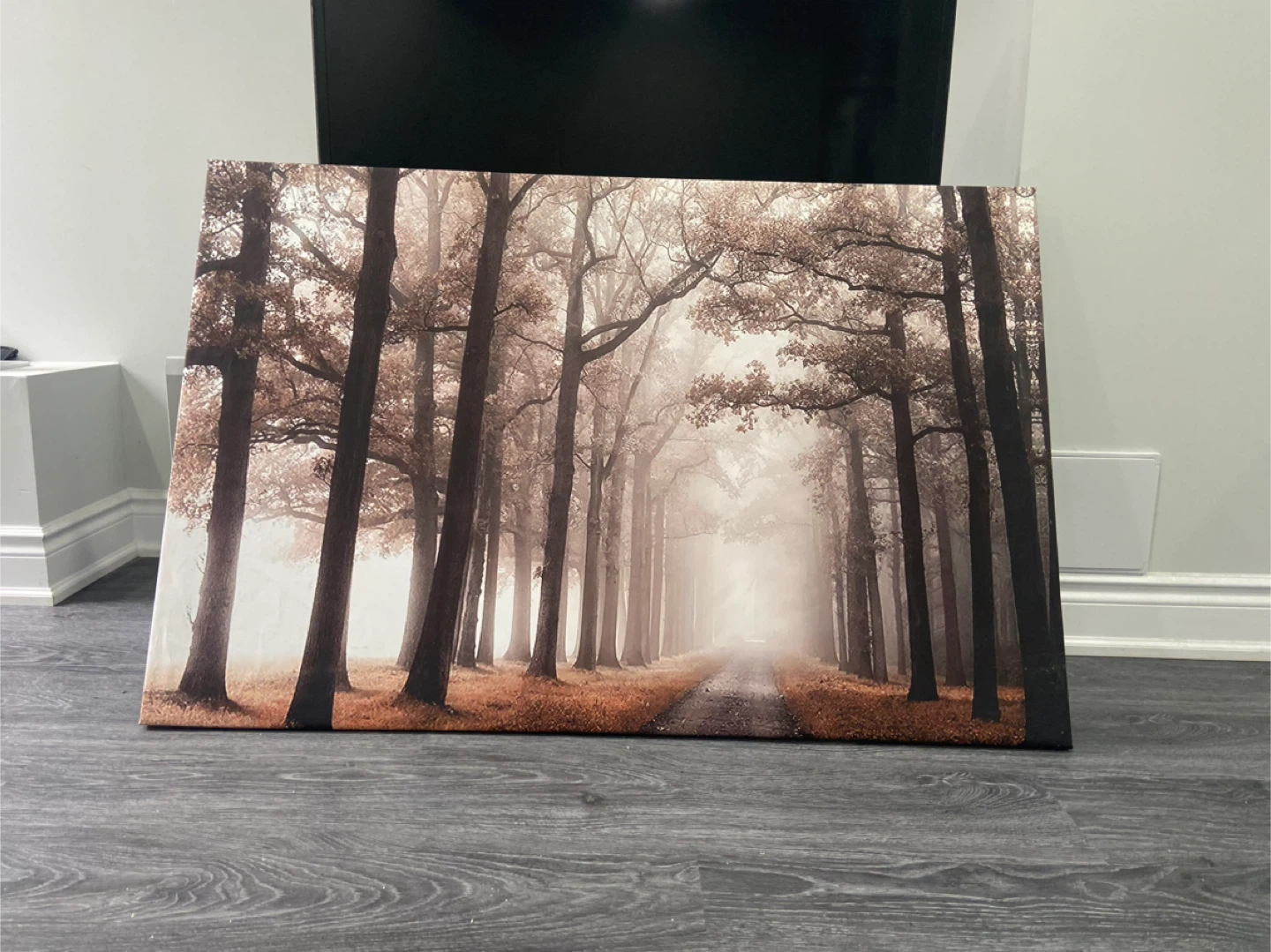 Feather Canvas Wall Art - photo 5