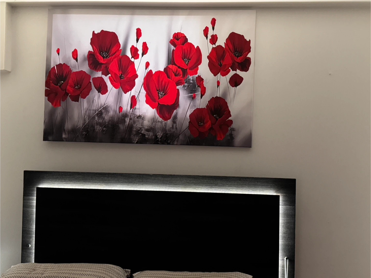 Feather Canvas Wall Art - photo 4