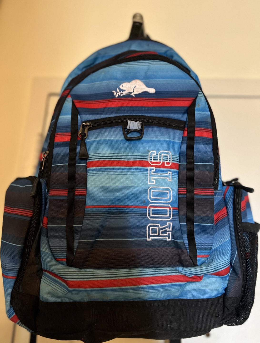 Roots Backpack