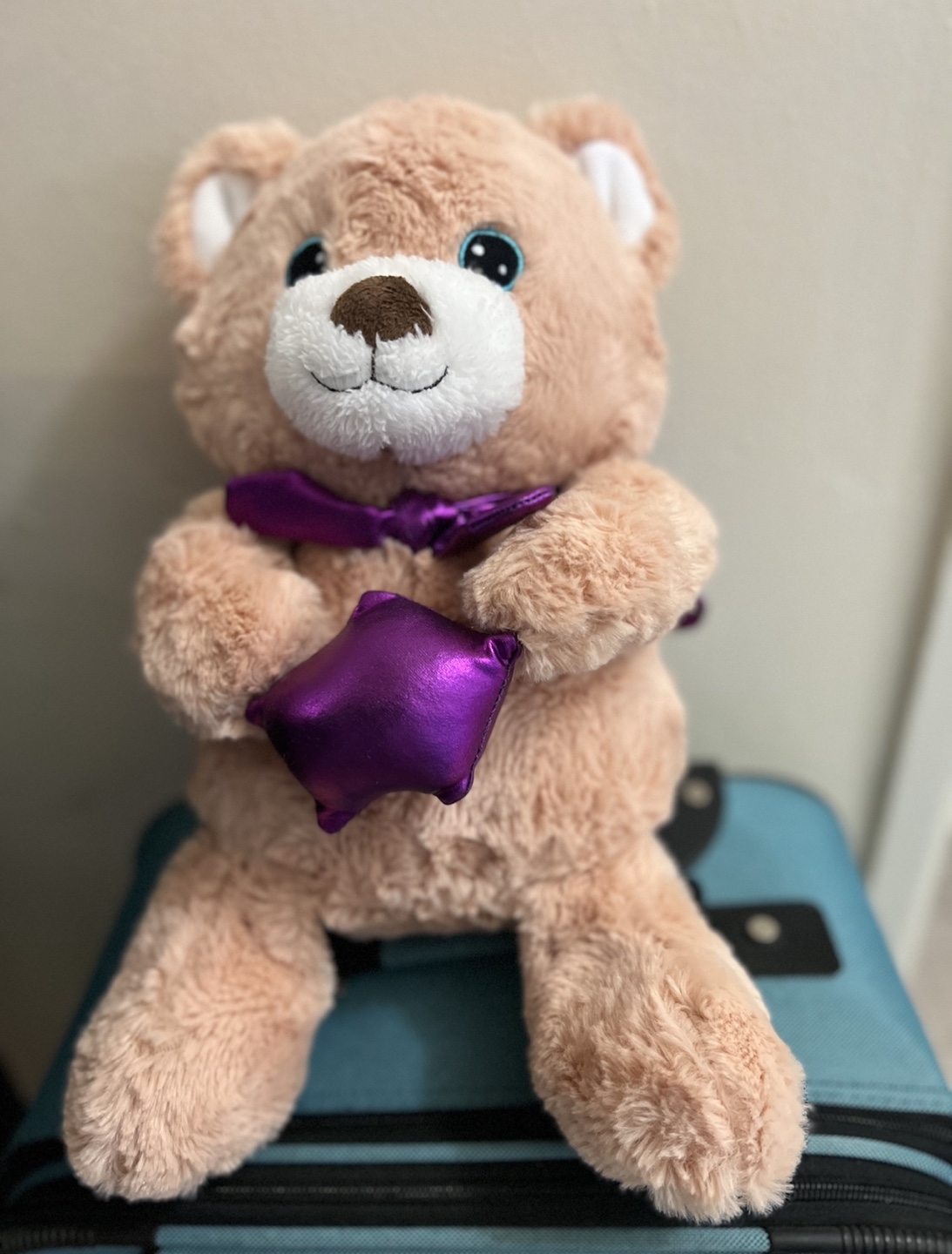 Plush Teddy Bear with Purple Bow and Star