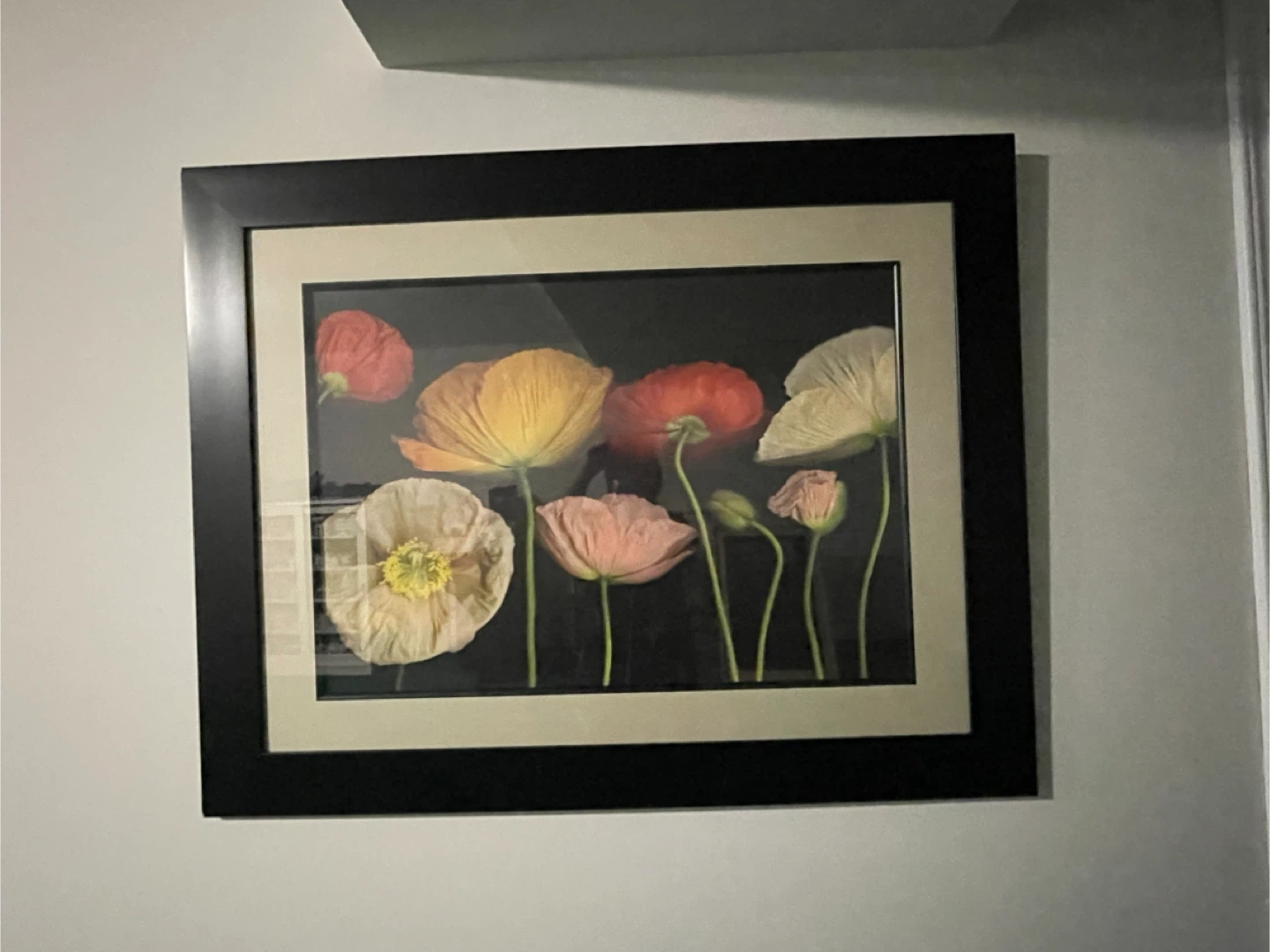 Framed Floral Art Print - Poppies