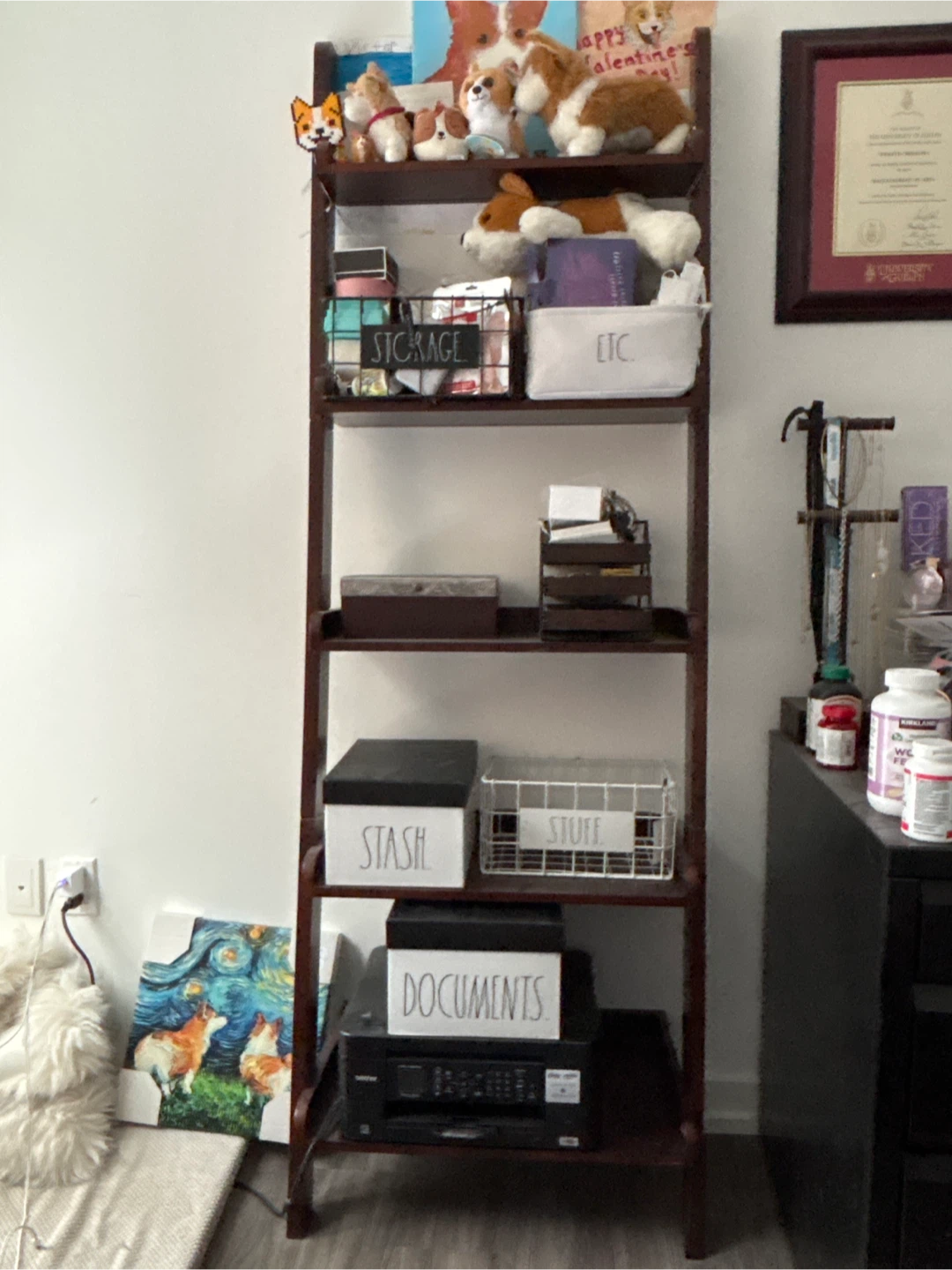 Wooden Ladder Shelf