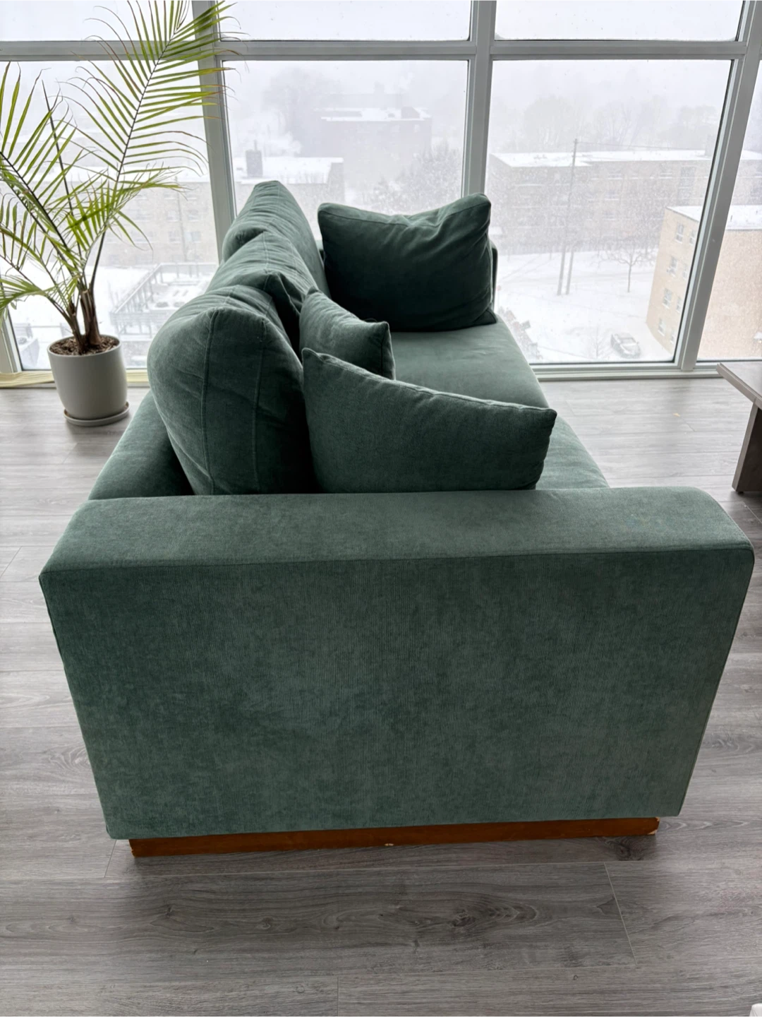 Green Sofa with Plush Cushions - photo 3