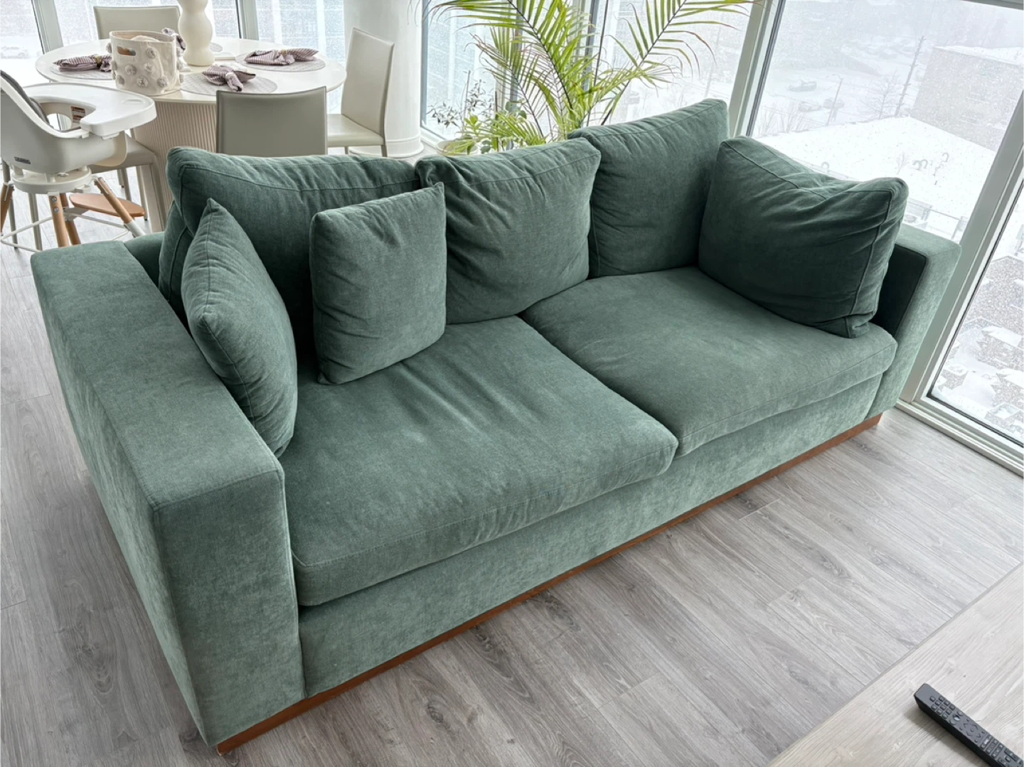 Green Sofa with Plush Cushions