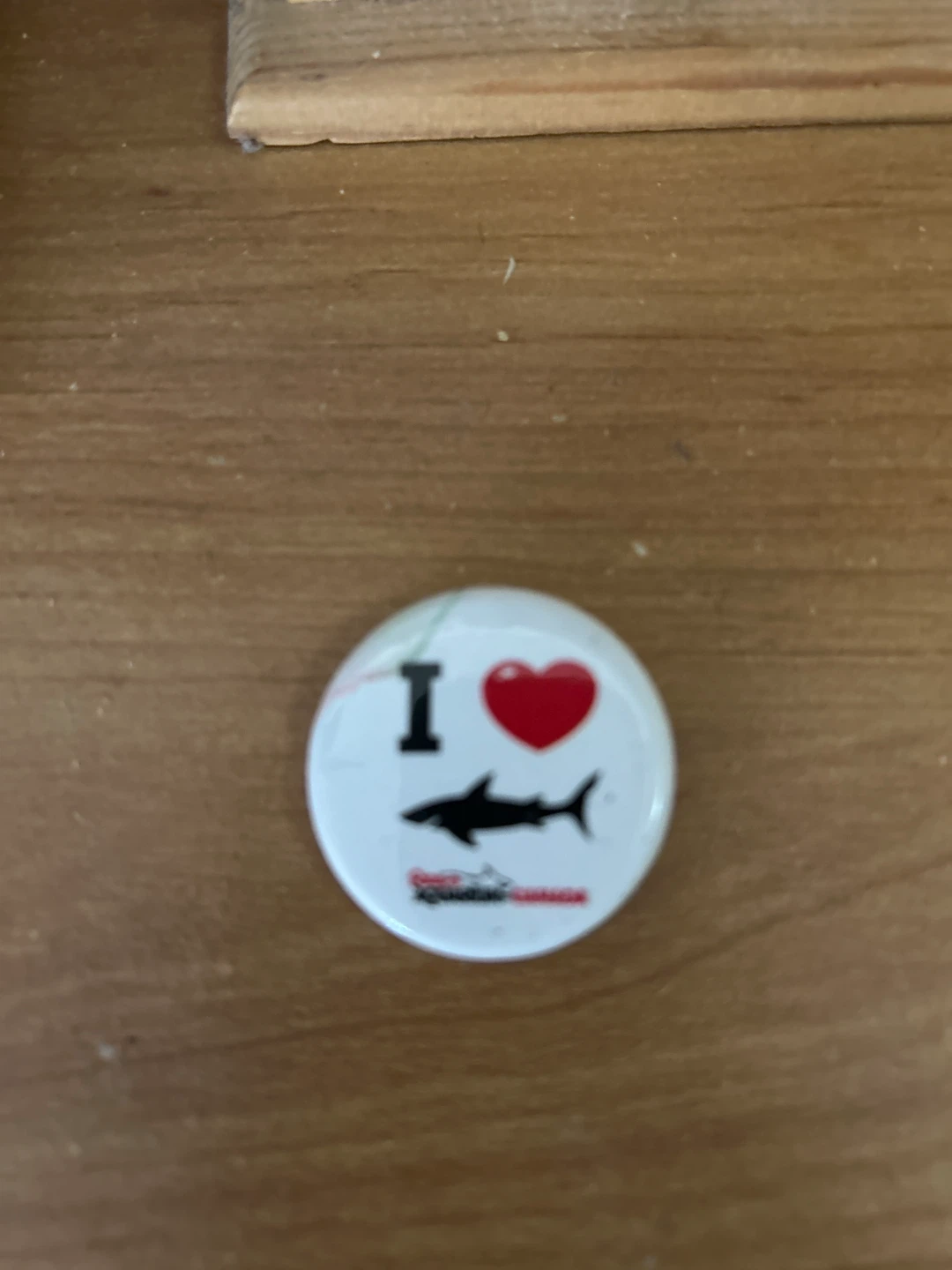 I Love Sharks Button Pin