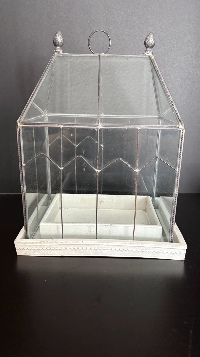 Glass Terrarium with White Tray