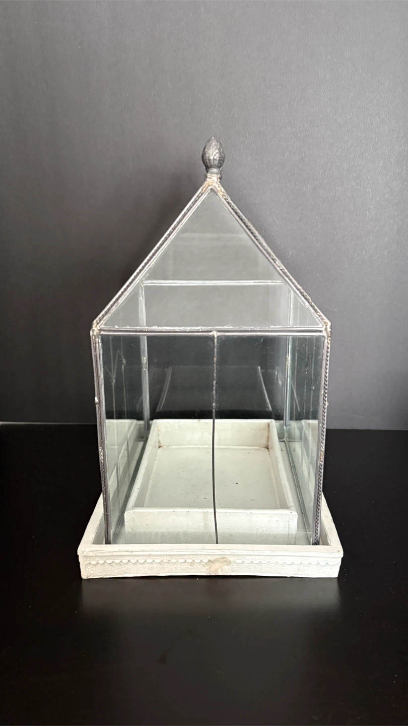 Glass Terrarium with White Tray - photo 4