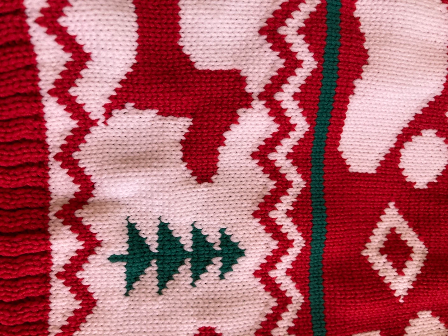 $20 for 6 Dog Coats and Sweaters - photo 4