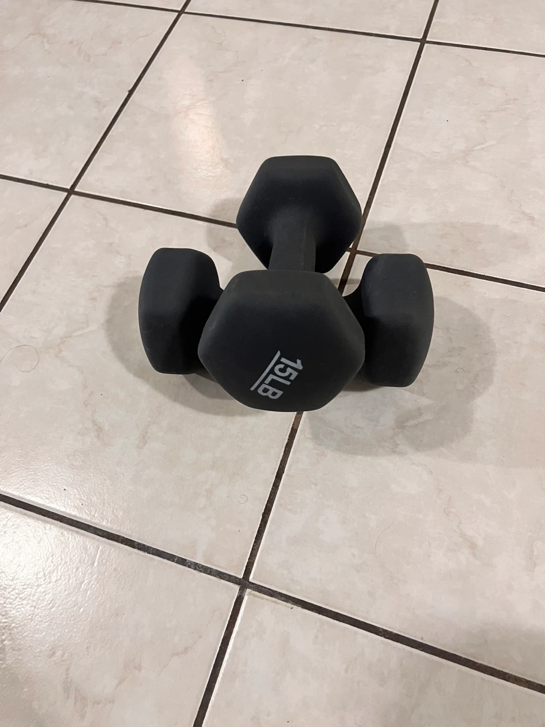 15 LB Dumbbell Pair