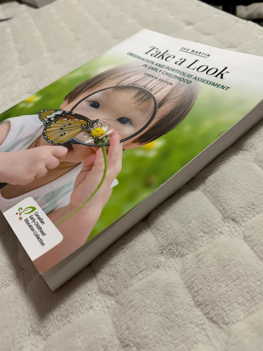 Observation and Portfolio Assessment in Early Childhood - photo 4