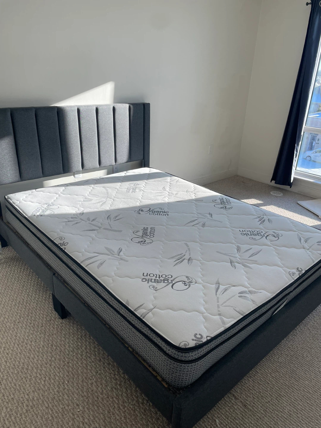 Modern Upholstered Bed Frame + (Euro Top) Mattress