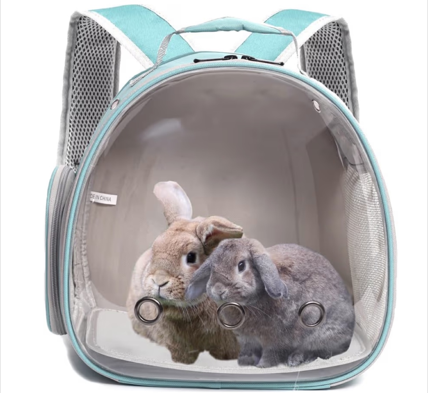 Pet Carrier Backpack Space Capsule