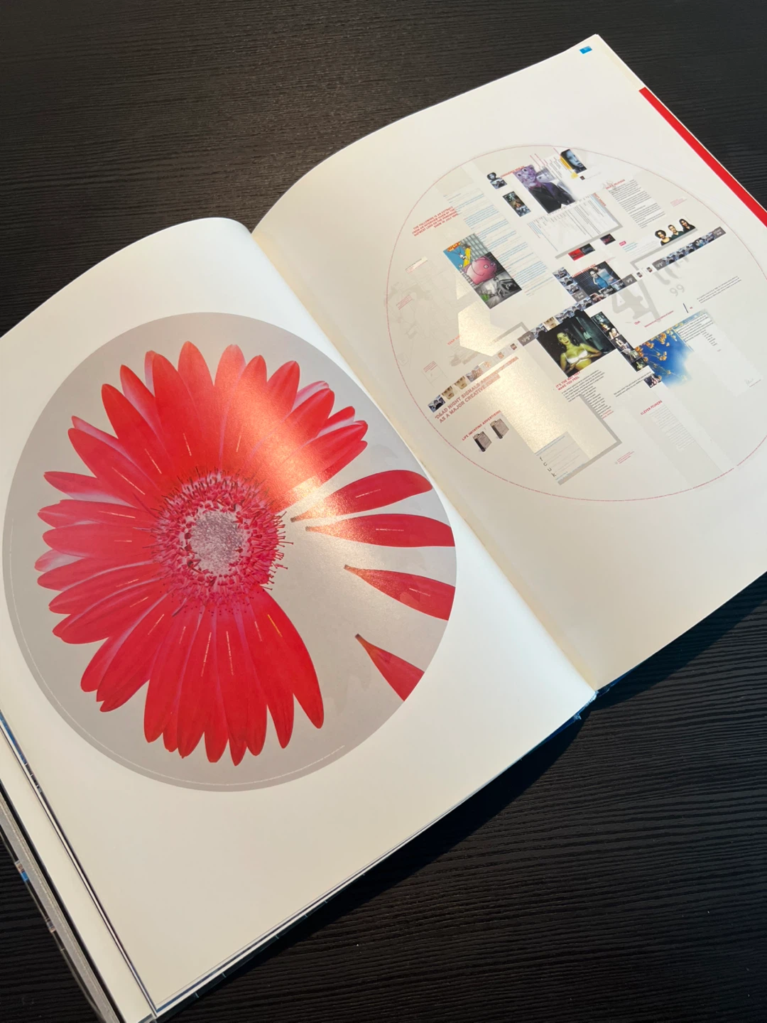 “Why Not Associates?2” Graphic design book - photo 2