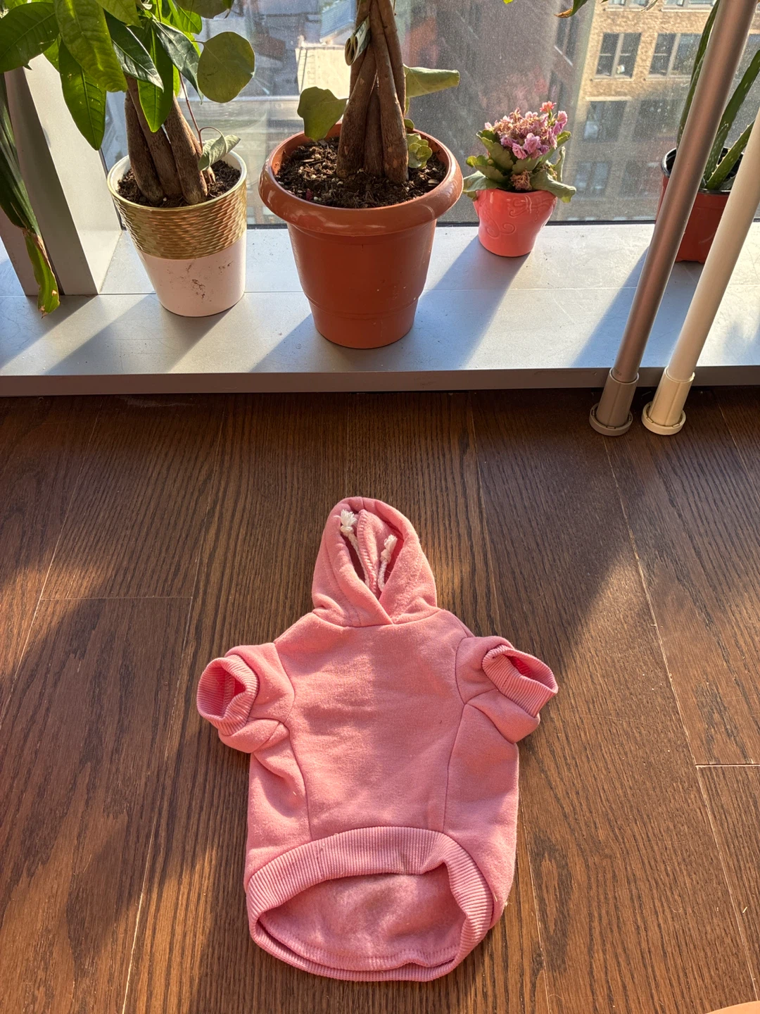 Blue and Pink Small Pet Hoody Dog, Cat, Bunny + bowl - photo 5