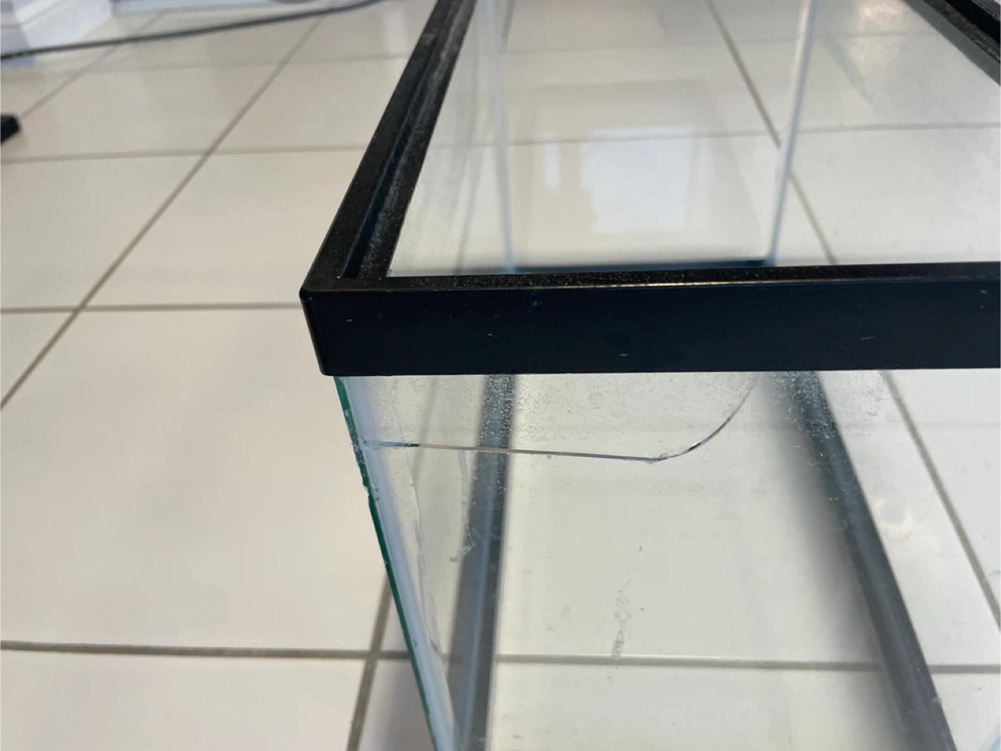 Glass Aquarium Tank(little demage but safe) - photo 2