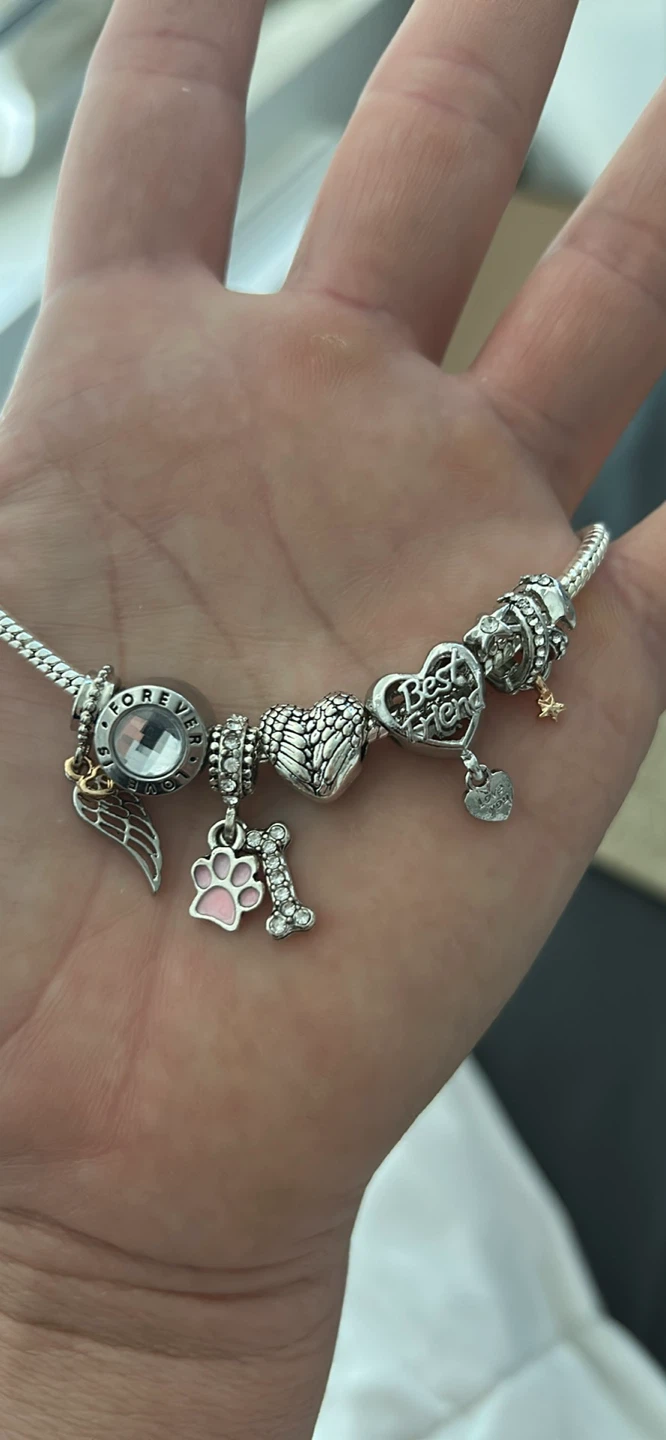 Lost Pets Charm bracelet - photo 4