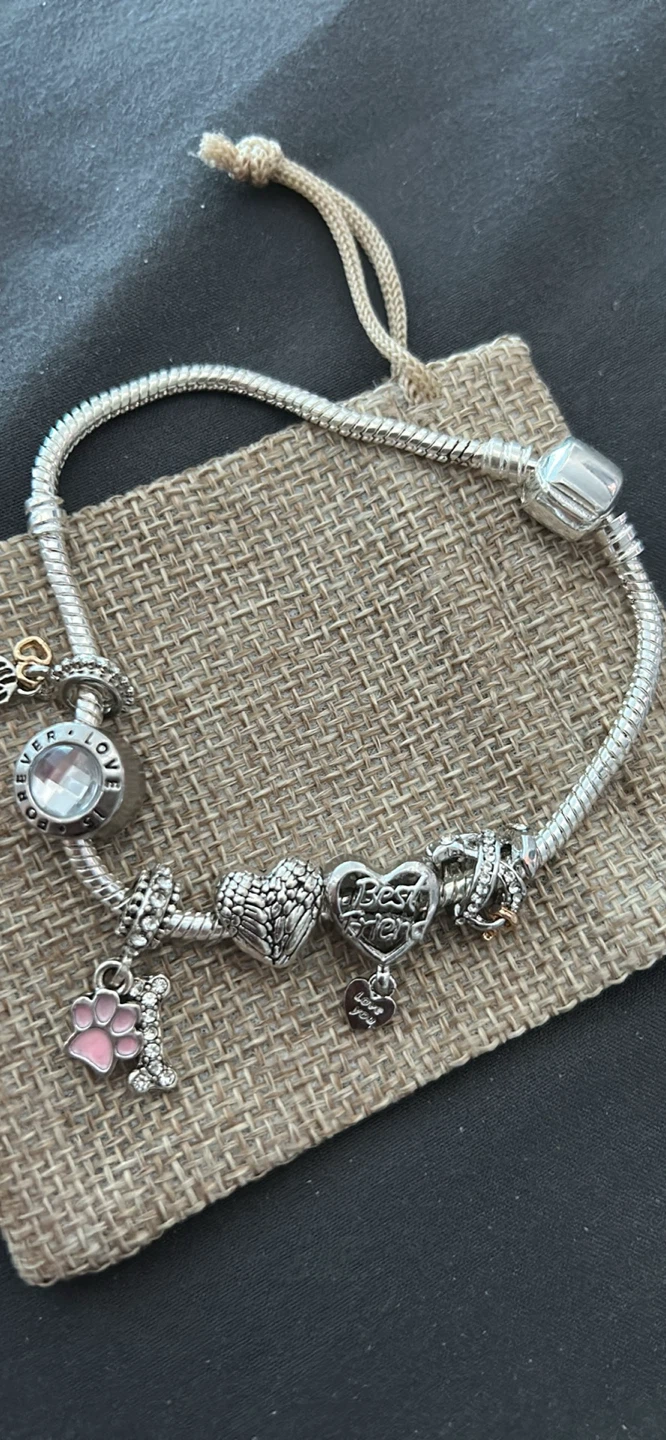 Lost Pets Charm bracelet - photo 3