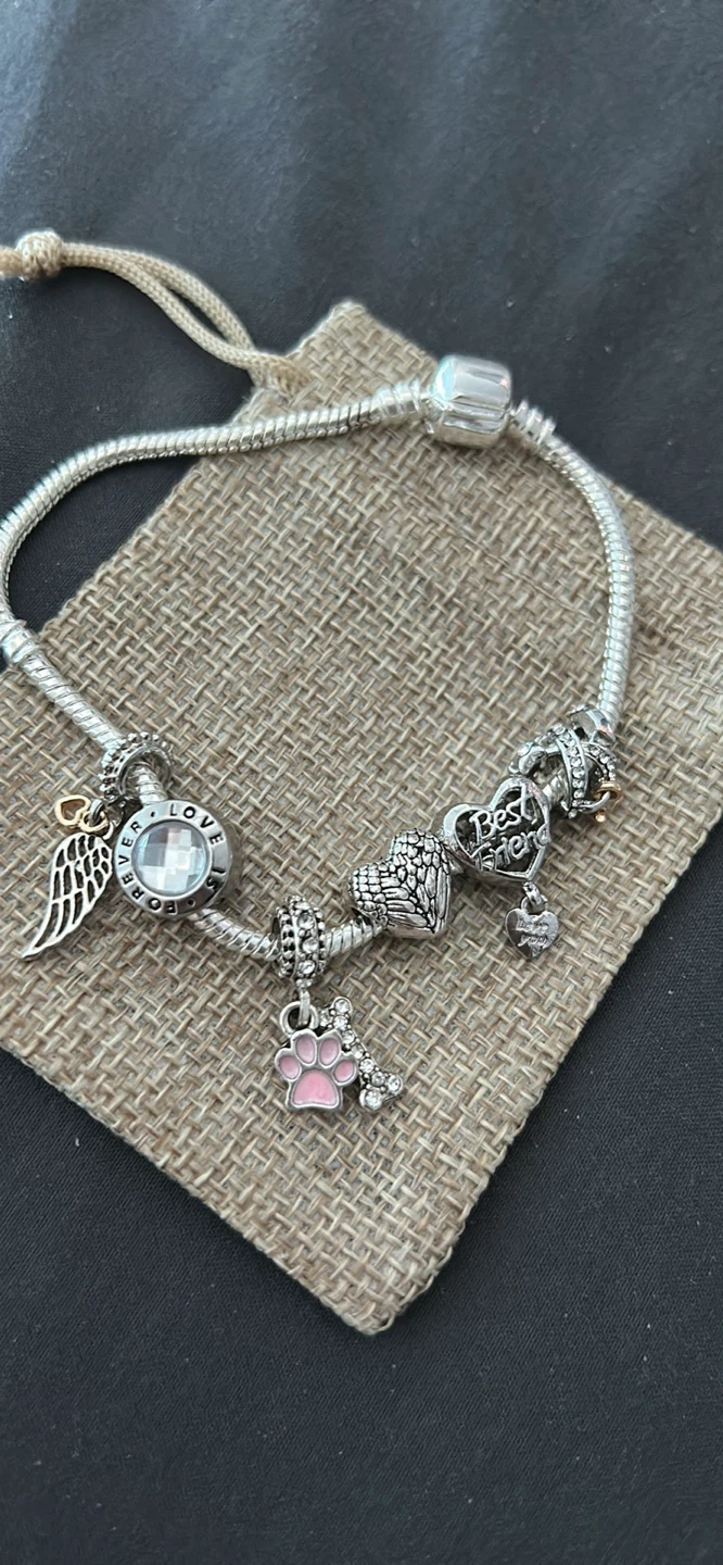 Lost Pets Charm bracelet