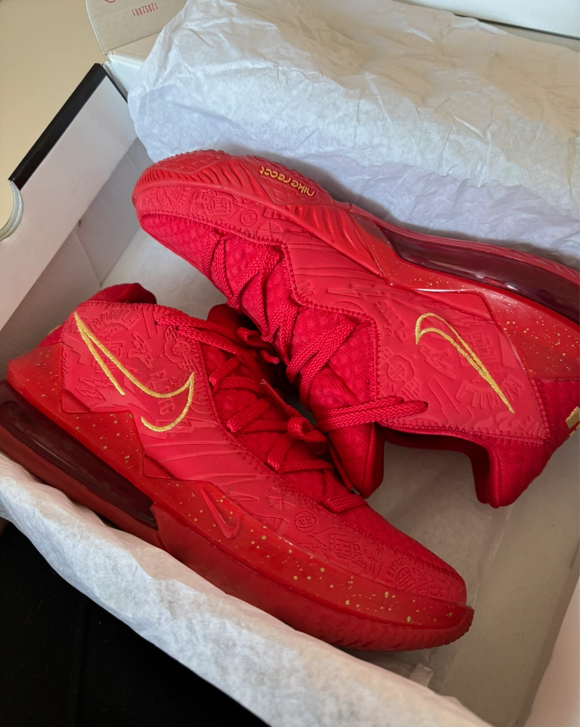 Nike LeBron XVII Low PH Shoes