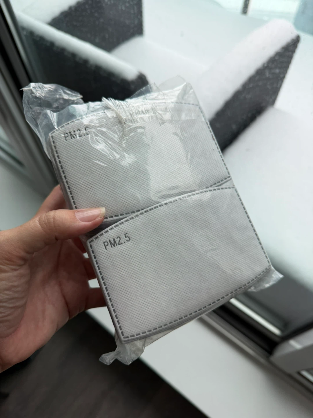 PM2.5 Filter Inserts (Pack of 2)