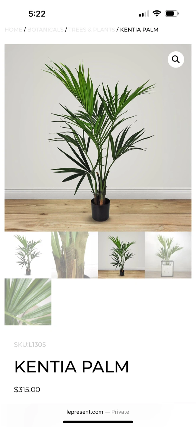 Artificial Kentia Palm Tree (48” height) - photo 2