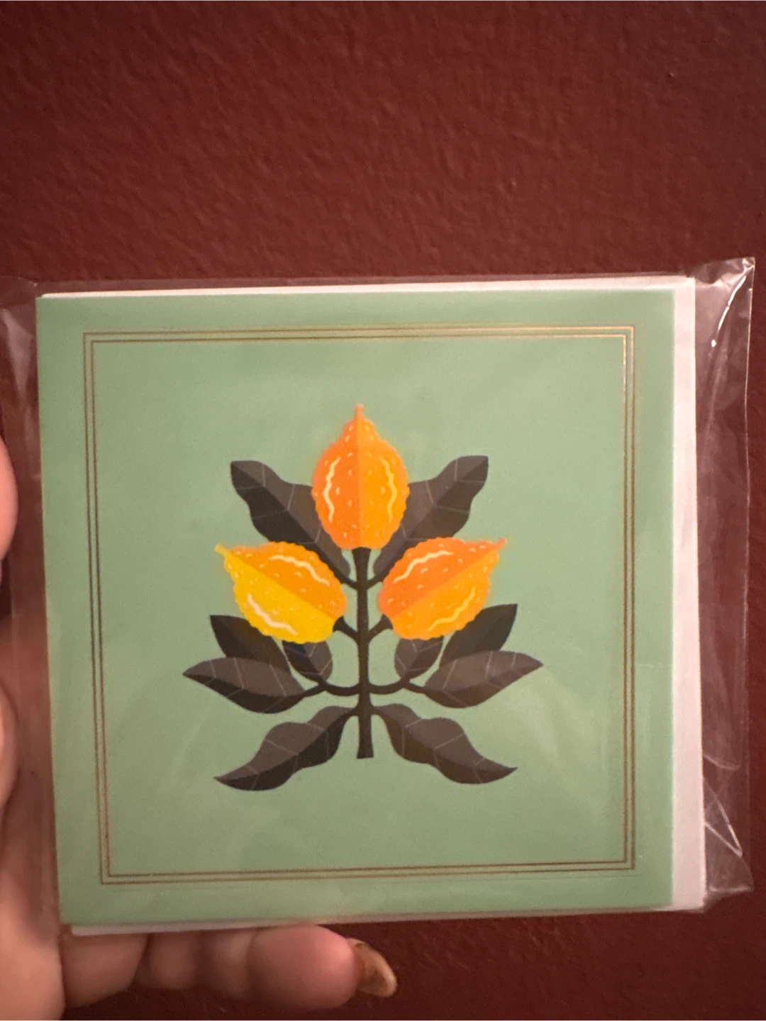 New Greeting Card Set
