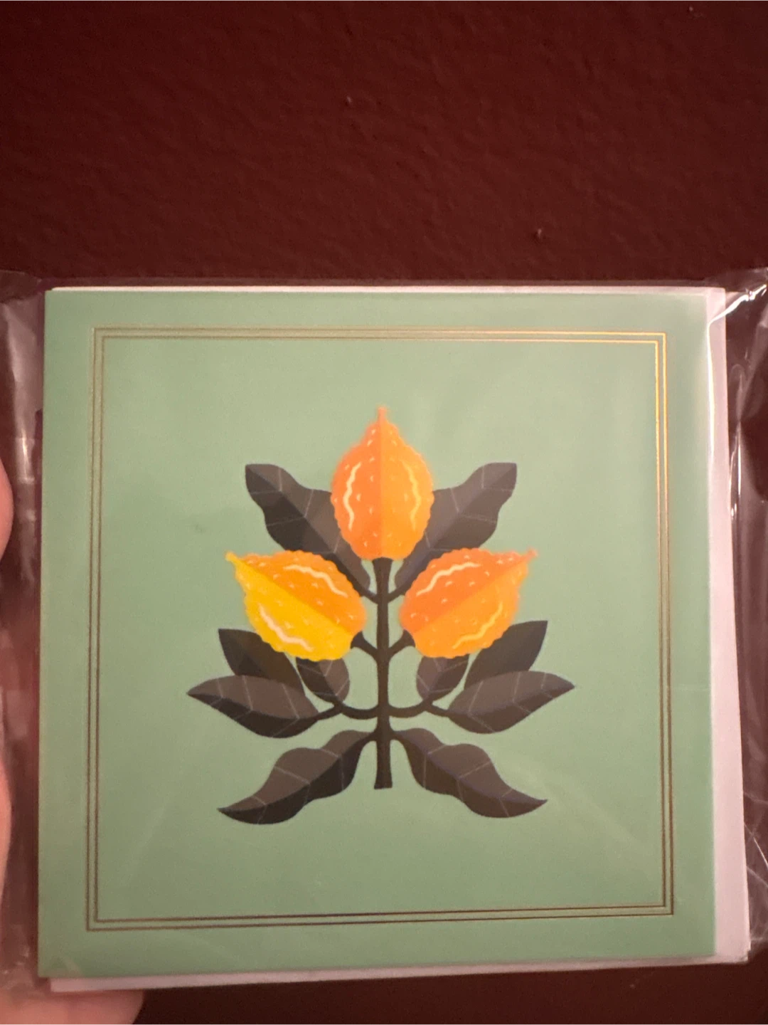 New Greeting Card Set - photo 4