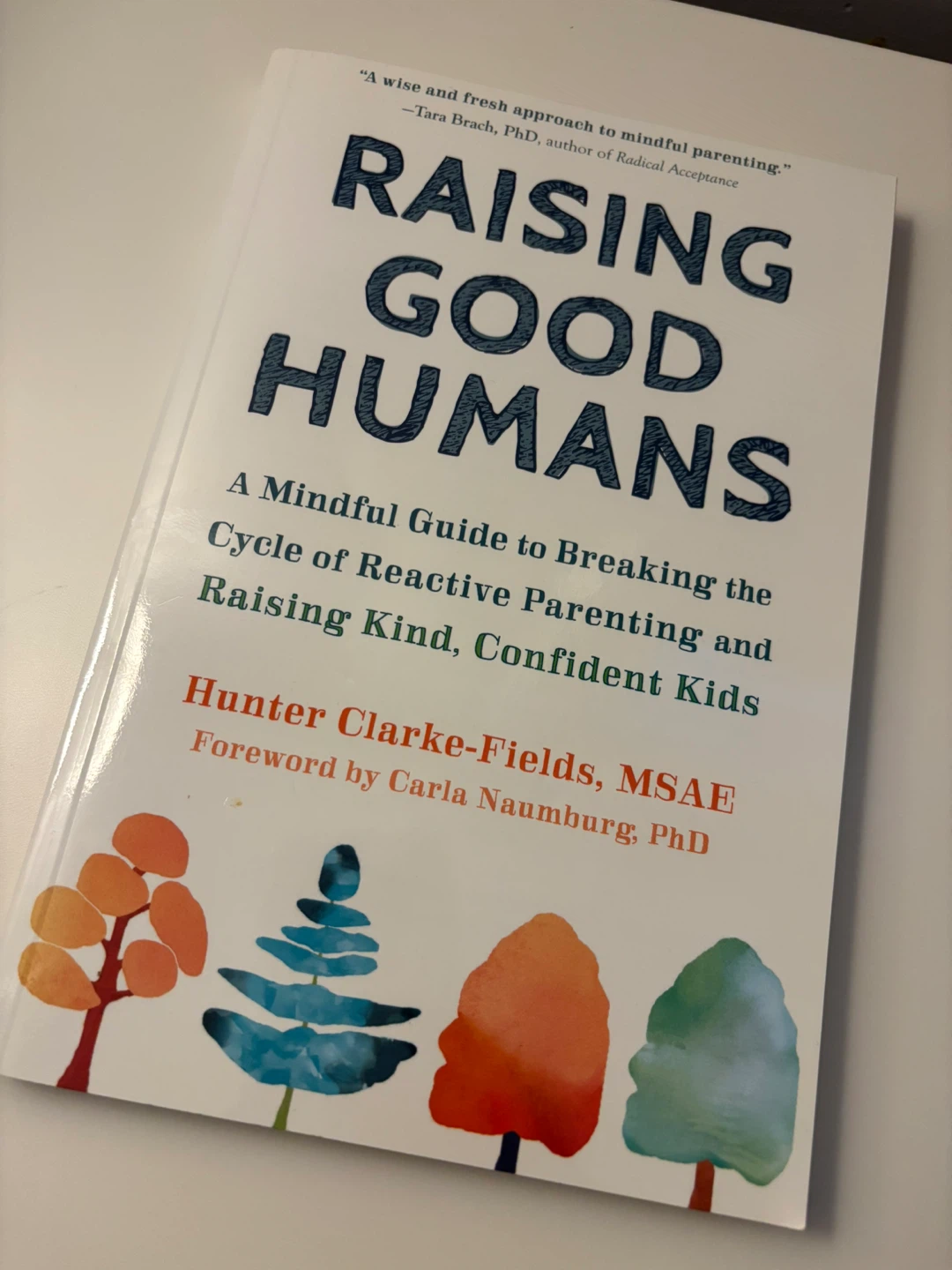 Raising Good Humans Parenting Guide Book