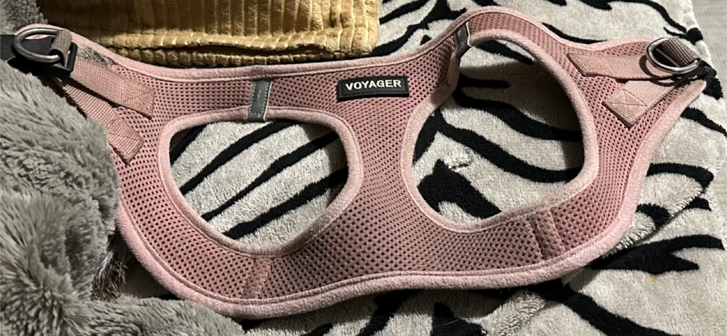 Voyager Pink Mesh Dog Harness - Size M