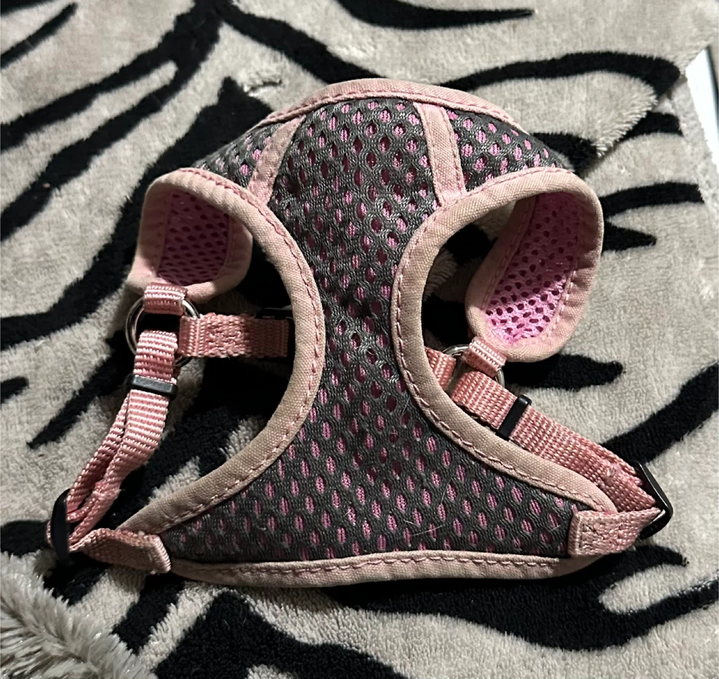 Coastal Comfort Soft Wrap Dog Harness Size XXS - photo 3