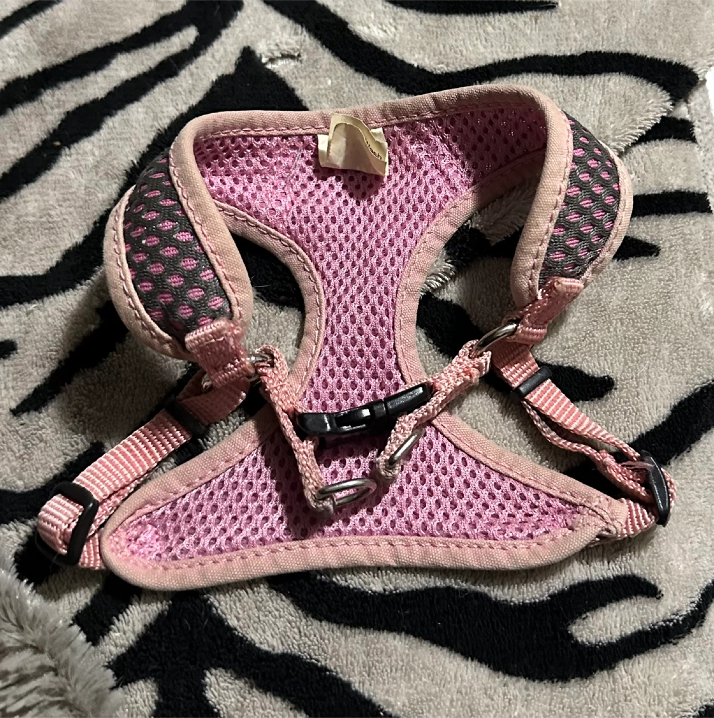 Coastal Comfort Soft Wrap Dog Harness Size XXS - photo 4