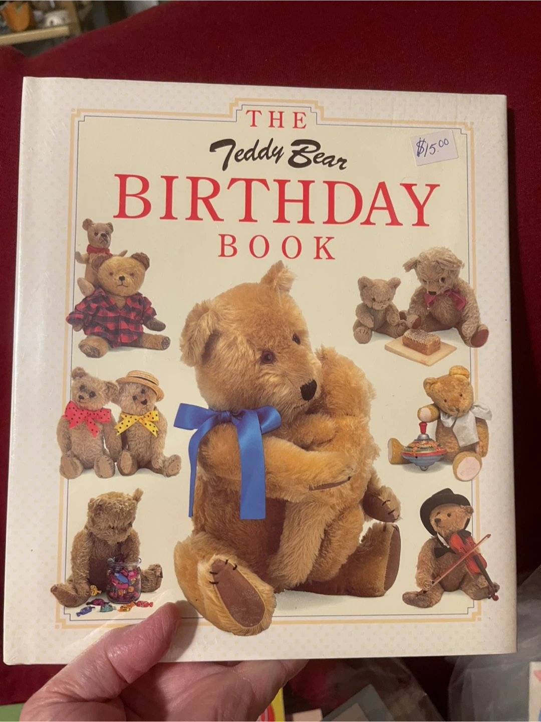 The Teddy Bear Birthday Book 🥕