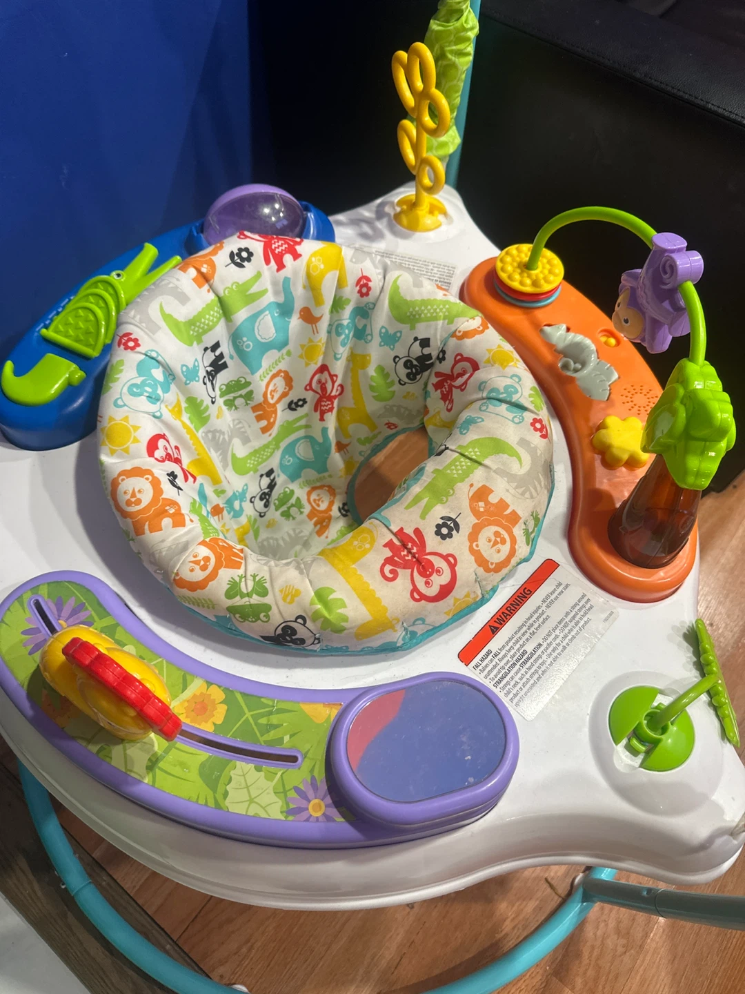 Fisher-Price Jumperoo Infant Activity Center - photo 2