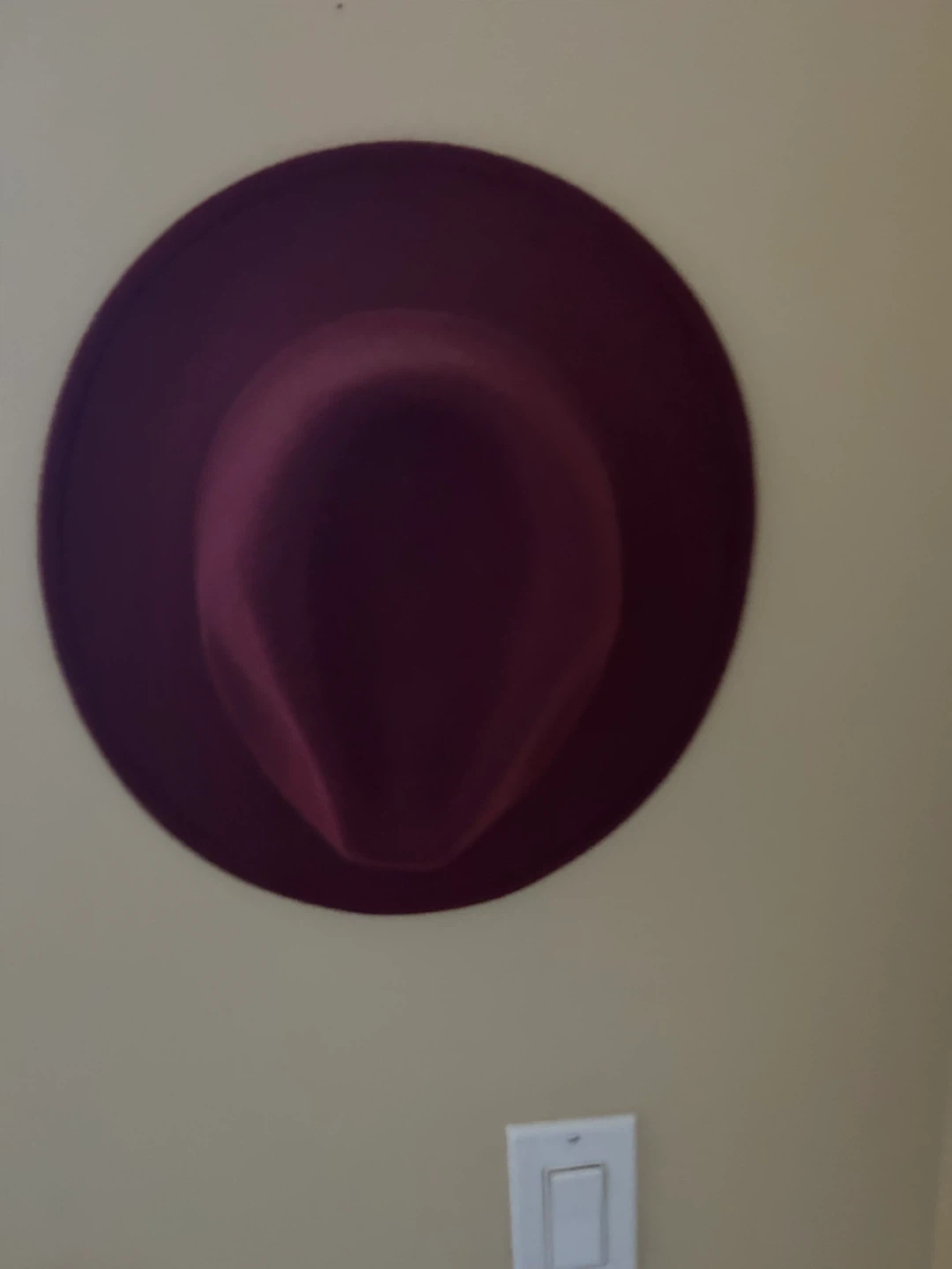 Plum Felt Fedora Hat
