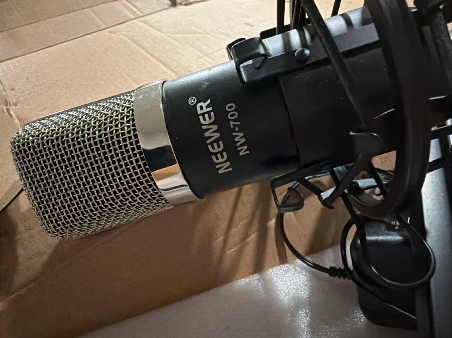 Microphone - photo 2