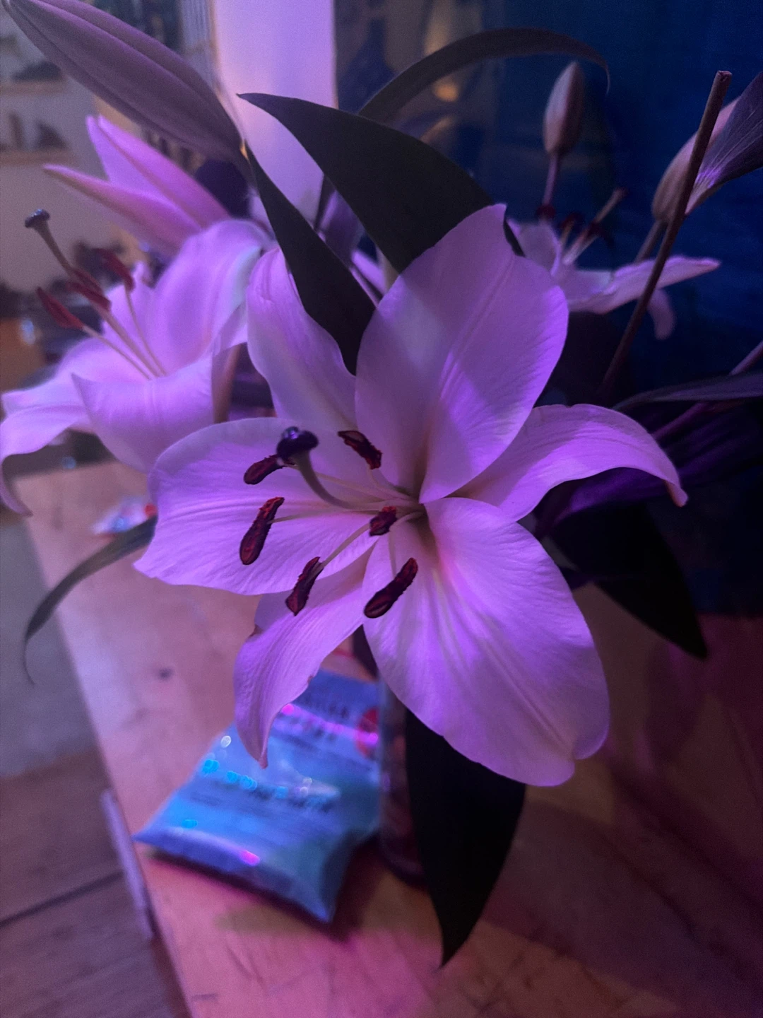 White Lilies