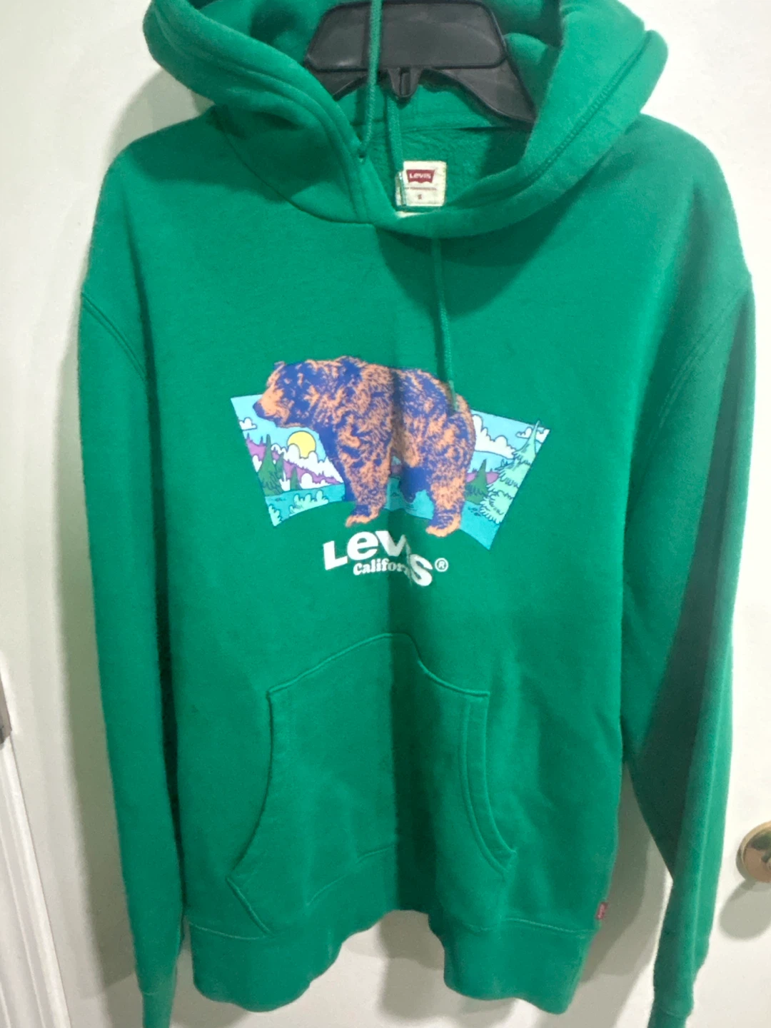 Levi's Green Bear Graphic Hoodie