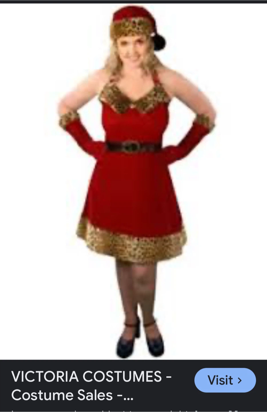 Santa's Pet Costume with Hat and Mitts