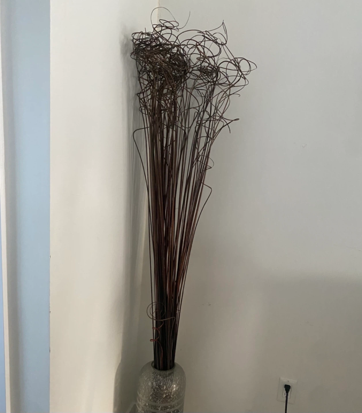 Decorative Curly Twig Bundle