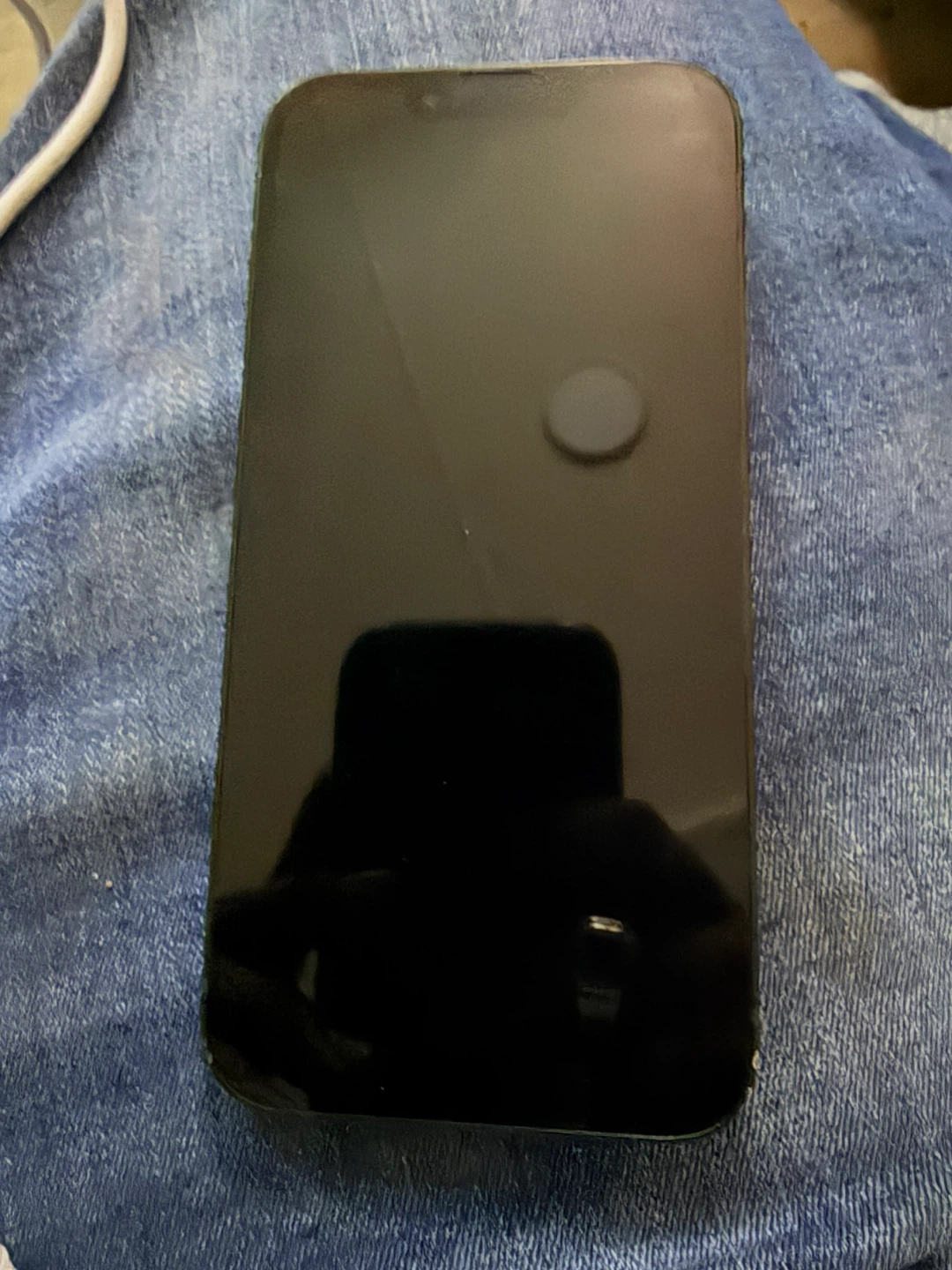 Green Apple iPhone 13 - photo 2