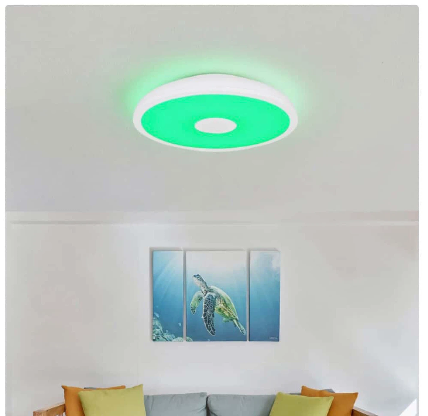 Selling LED Ceiling Light with Bluetooth