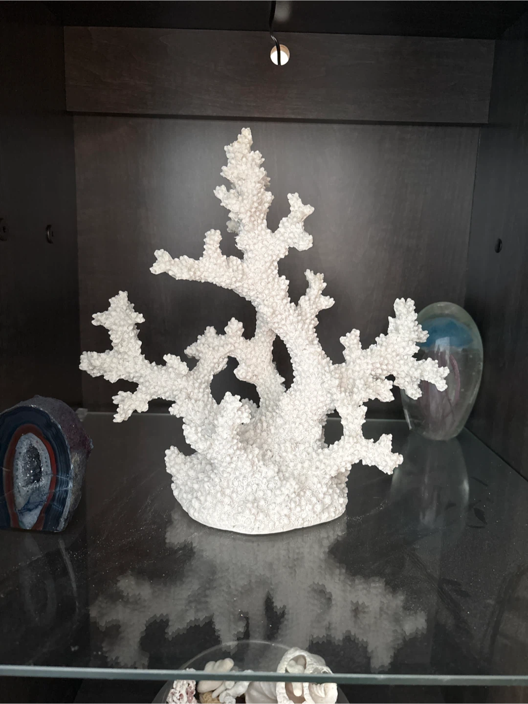 White Decorative Coral Branch