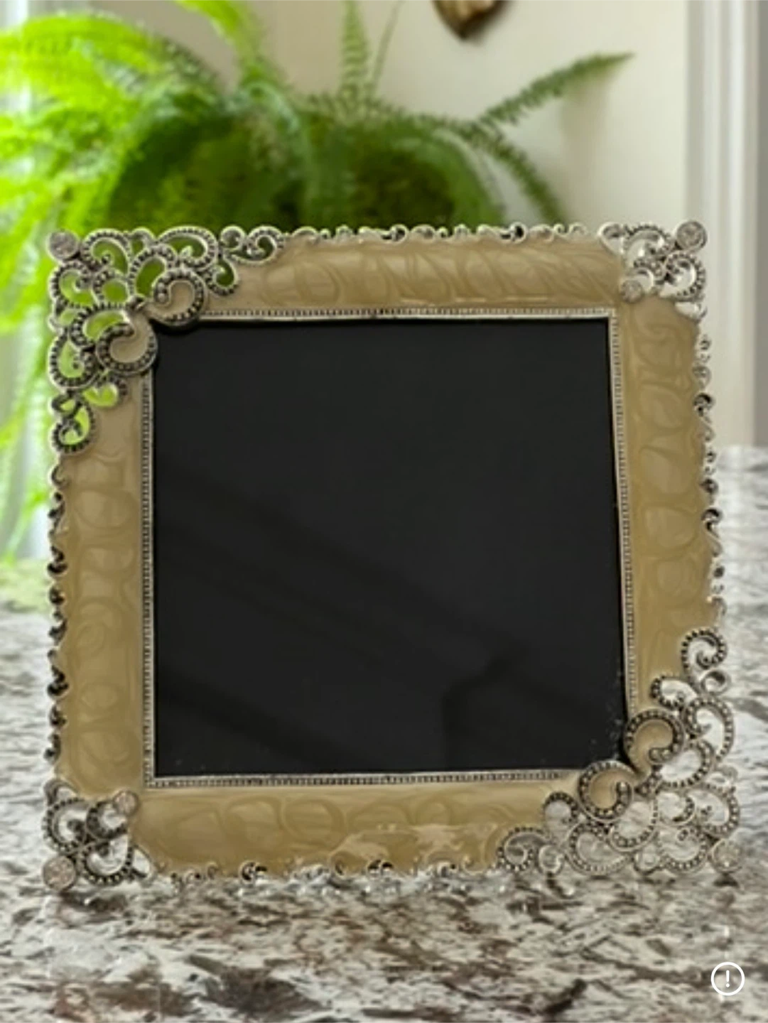 Ornate Decorative Photo Frame