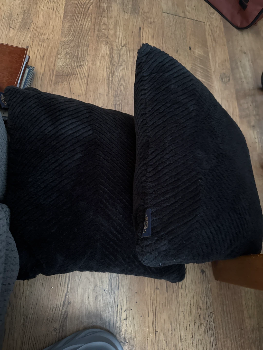 Rachel Rachel Roy Black Throw Pillows (Set of 2)