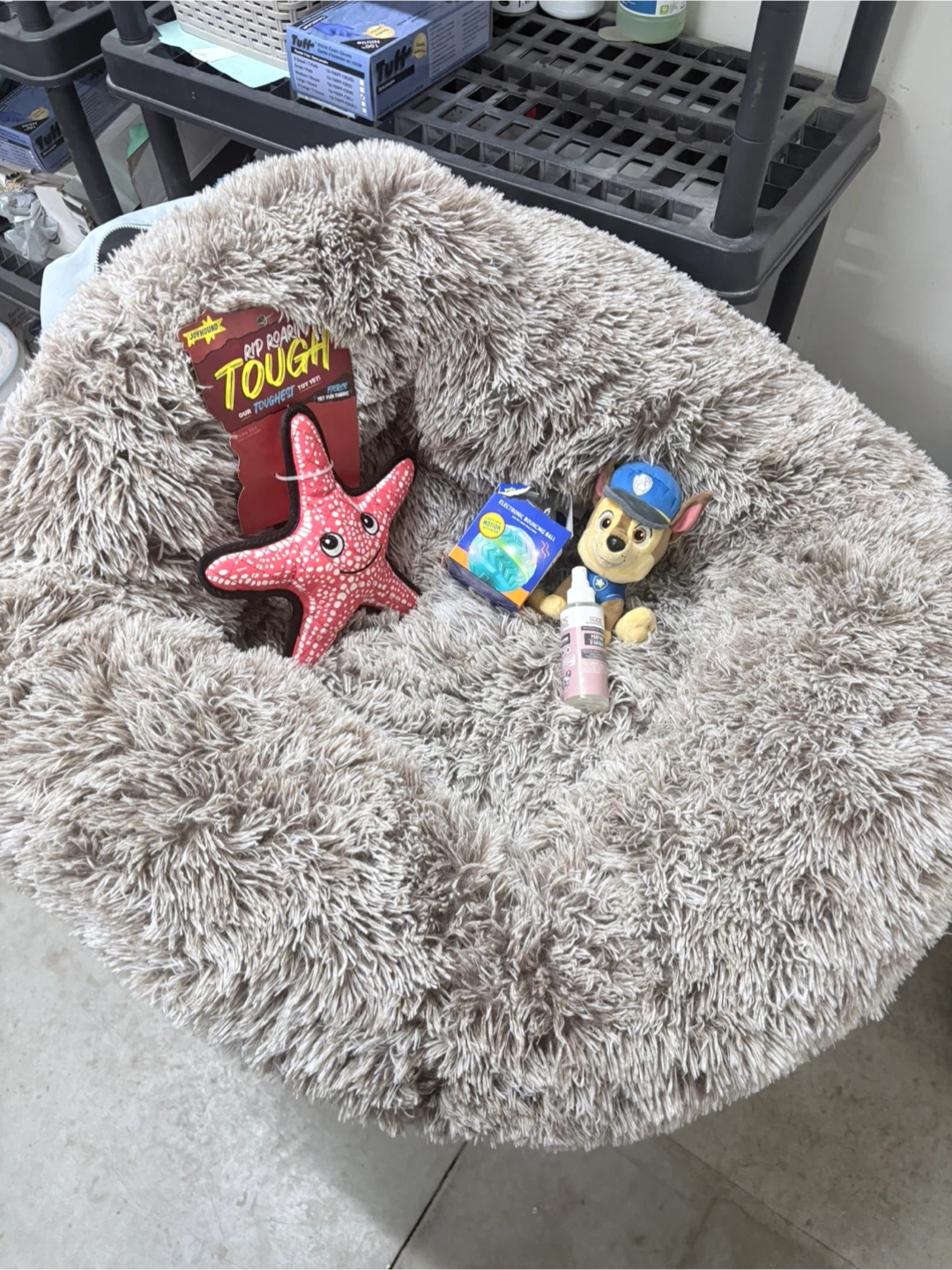 Dog bed and toys
