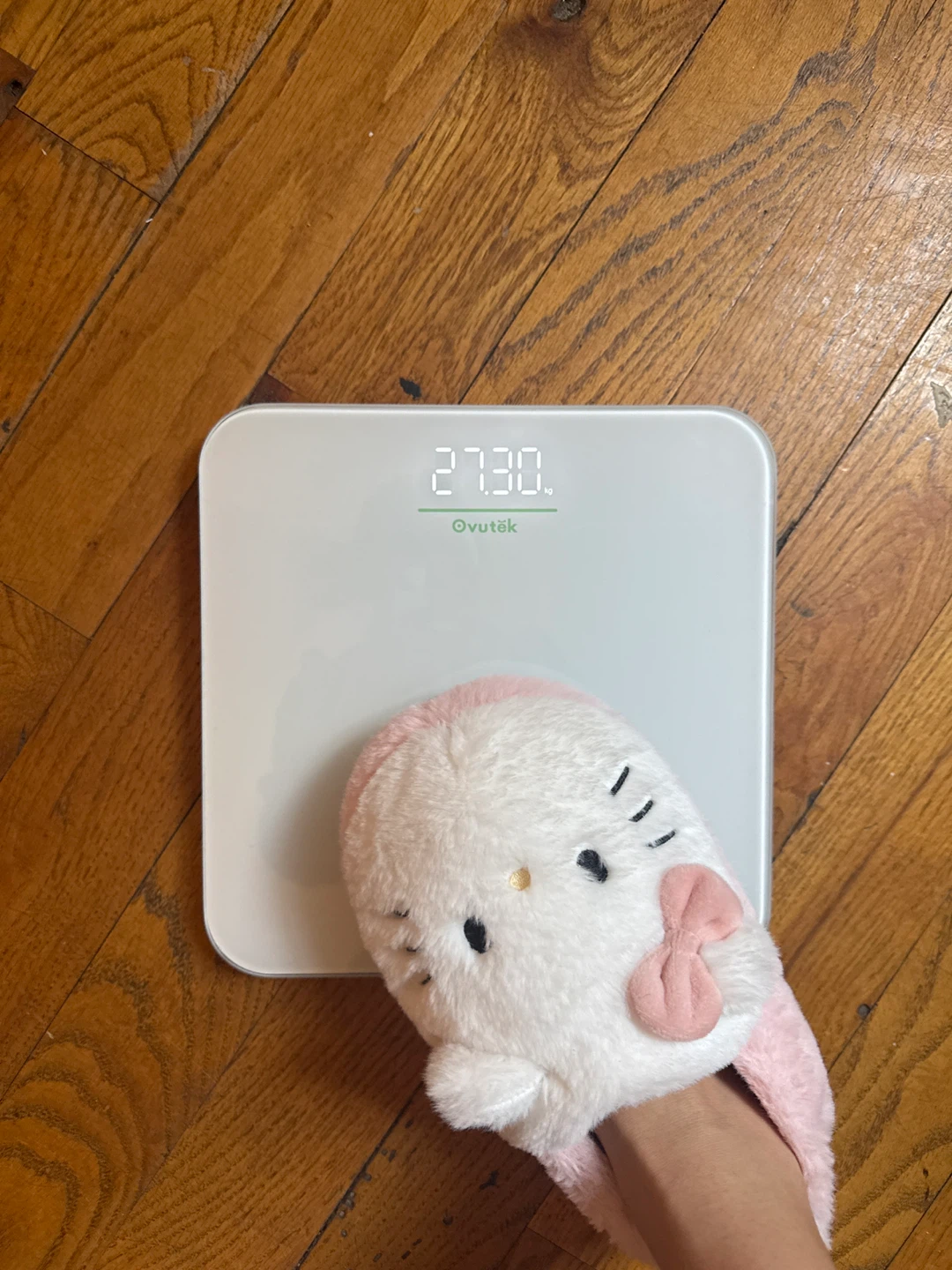 Ovutek Smart Body Weight Scale - photo 3