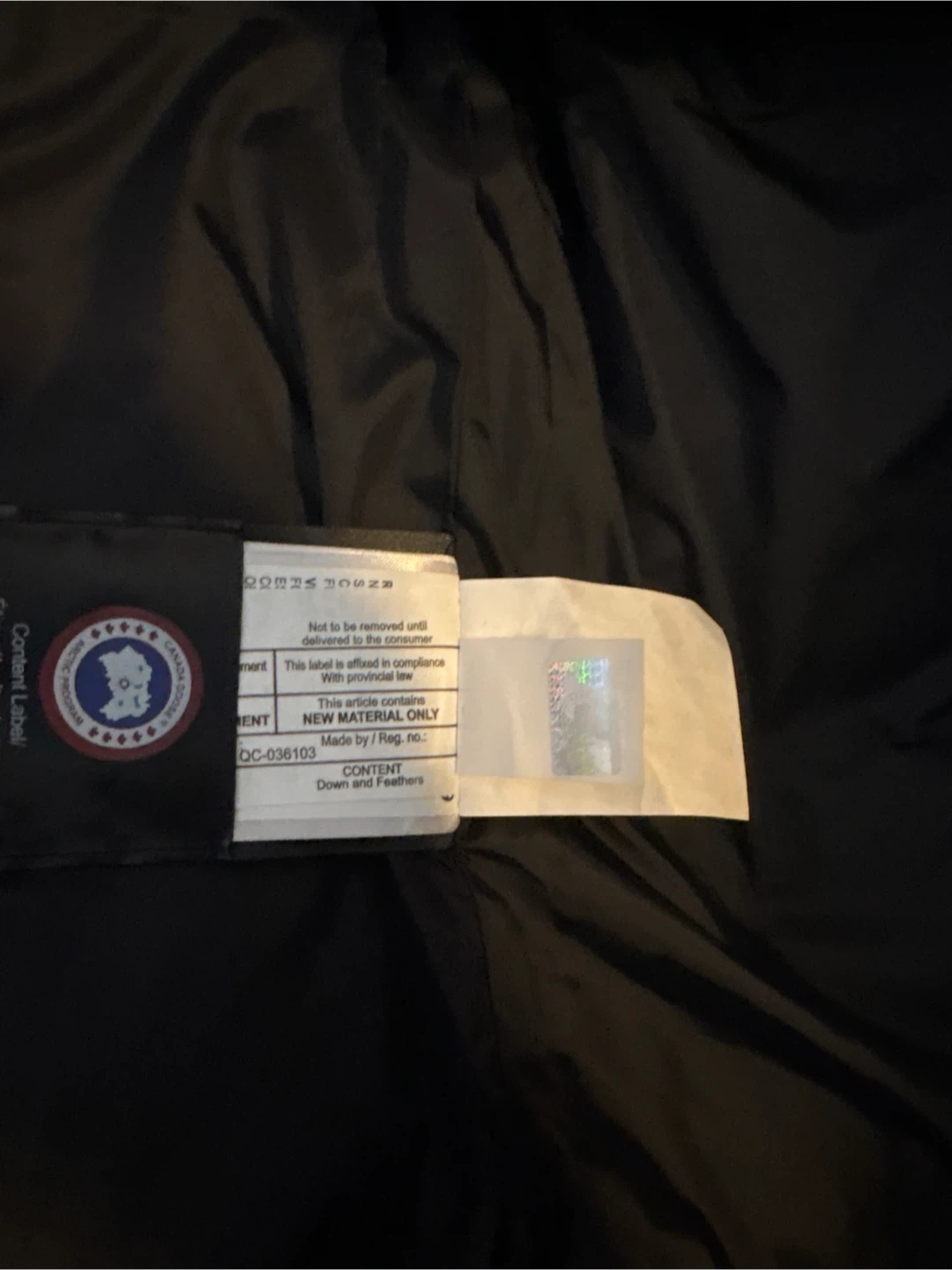Canada Goose Black Down Vest Arctic Program - photo 2